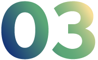 03